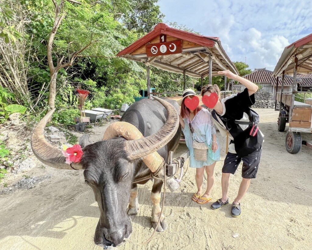 星のや竹富島 水牛車アクティビティの満足度が意外と高かった話 No Travel No Life