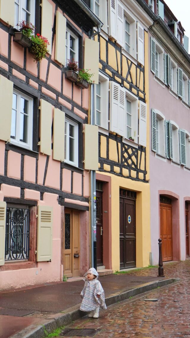 子連れフランス🇫🇷▸▸▸@kuu_mamatabi
⁡
📍France｜Colmar(コルマール)
⁡
⁡
パリからTGVで2時間ちょっと🚄
アルザス地方にあるコルマールという街にも行ってきたよ🫶
⁡
「美女と野獣」や「ハウルの動く城」などのモデルになった
可愛すぎる街並みが魅力の美しい村🏘️
(動画の最後に映ってるのが
ハウスの城のモデルとなったプフィスタの家)
⁡
⁡
今回1番行きたかった場所なんだけど、、
⁡
なんとめっちゃ雨だったの〜〜〜😭☔️
⁡
曇り空であんまり写真映えなくて残念すぎる😭
⁡
⁡
でもとにかく街並みが可愛くて、
アルザスワインと料理も美味しくて
お土産も可愛すぎた❣️
絶対またリベンジして映え写真撮ってくる！！
⁡
⁡
⁡
⁡
🥐フランス旅まとめ
#riritabi_paris
#riritabi_france
⁡
—————————
🚃：パリ東駅(Gare de l'Est)〜コルマール駅(Colmar)
までTGVで2時間20分
⁡
📝TGVは日本でいう新幹線みたいな！
乗り換えなしでコルマールまで行けて、
TGVの中はオムツ台もあるし
飲み物も売ってるし中々快適だったよ✨
⁡
🗓️：2024.5
—————————
⁡
⁡
⁡
#コルマール旧市街 #コルマール #colmarfrance #子連れ海外#子連れ海外旅行 #1歳連れ海外旅行#赤ちゃん連れ海外#子連れフランス#子連れヨーロッパ#子連れパリ