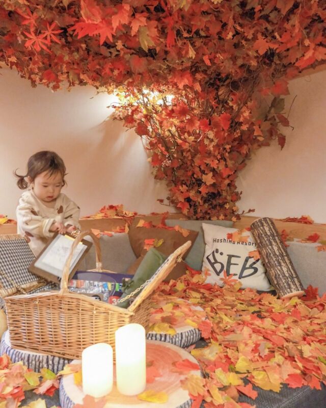 📍星野リゾートBEB5軽井沢
⁡
⁡
11/30まで限定の
『紅葉まみれステイ』プランで泊まってきたよ🍁
⁡
お部屋にはなんと1万枚の紅葉！
文字通り紅葉まみれのお部屋でびっくり🫢
⁡
⁡
さらに絵の具とポストカードのセットも置いてあったので
ラウンジで庭の紅葉を見ながらお絵描きしたよ🎨
芸術の秋を堪能✨
⁡
⁡
ハルニレテラスまで歩いて行けるし無料の循環バスもでてる🚌
自然の中を走り回れて2歳児との旅にピッタリでした✨
⁡
⁡
⁡
...........................................
📍星野リゾートBEB5軽井沢
@beb5karuizawa
⁡
▪︎ 長野県北佐久郡軽井沢町長倉3364-15
▪︎ 1泊¥7,433〜(大人1名)
...........................................
⁡
⁡
#星野リゾート#子連れ旅行#軽井沢旅行#beb5軽井沢#子連れ旅#2歳児連れ旅行